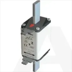 125NHG02BI | NH fuse gG/gL 500V 125A 02 dual indication, insulated gripping lugs