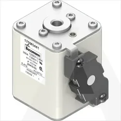 170M5441 | High speed fuse, 1250V, 350A, 2