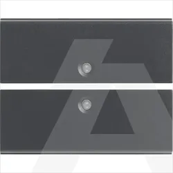 16842 | Two half-buttons 2M w/o symbol grey