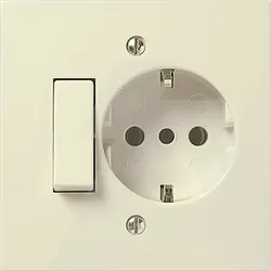 06696 | 1P 10AX 1-way switch+P30 outlet ivory