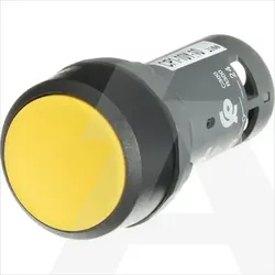 1SFA619100R1013 | CP1-10Y-10