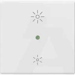 14532.25 | Button 2M regulation symbol white