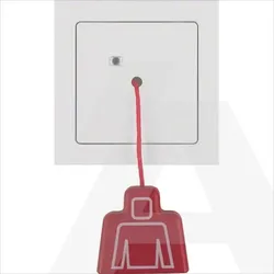 52029909