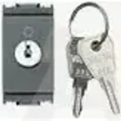 16165.CU | 2P 16AX 1-way switch +000-key grey