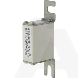 170M1317 | High speed fuse, 690V, 100A, 000