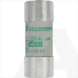 C22M125S | Cylindrical fuse AM 400V AC 125A C22 (22,2x58mm) striker