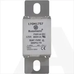 170M1757 | High speed fuse, 690V, 125A, 000