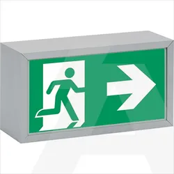 40071351270 | Emerg. sign lum. 70011 LED, Cg-s (20 addresses), without panel (mounting kit is
