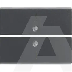 16842.1 | Two half-buttons 2M I symbol grey