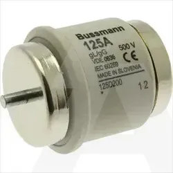 125D200 | Fuse GG 500V AC 125A DV time delay