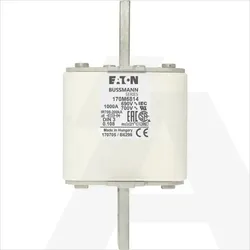 170M6874 | High speed fuse, 300V, 2500A, 3