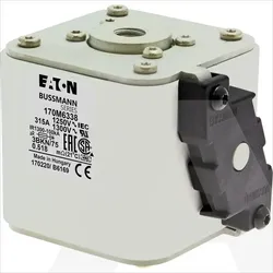 170M6338 | High speed fuse, 1250V, 315A, 3