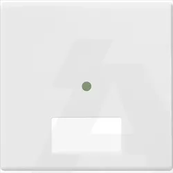 14532.1T | Button 2M with name-plate white