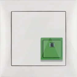 52019909