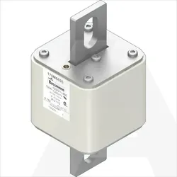 170M6695 | High speed fuse, 1250V, 700A, 3