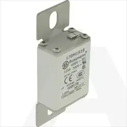 170M1534 | High speed fuse, 690V, 110A, 000