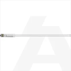 LN4743/230T | LL-LED LAMP 230V BIJELA