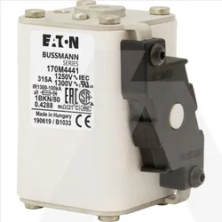 170M4441 | High speed fuse, 1250V, 315A, 1